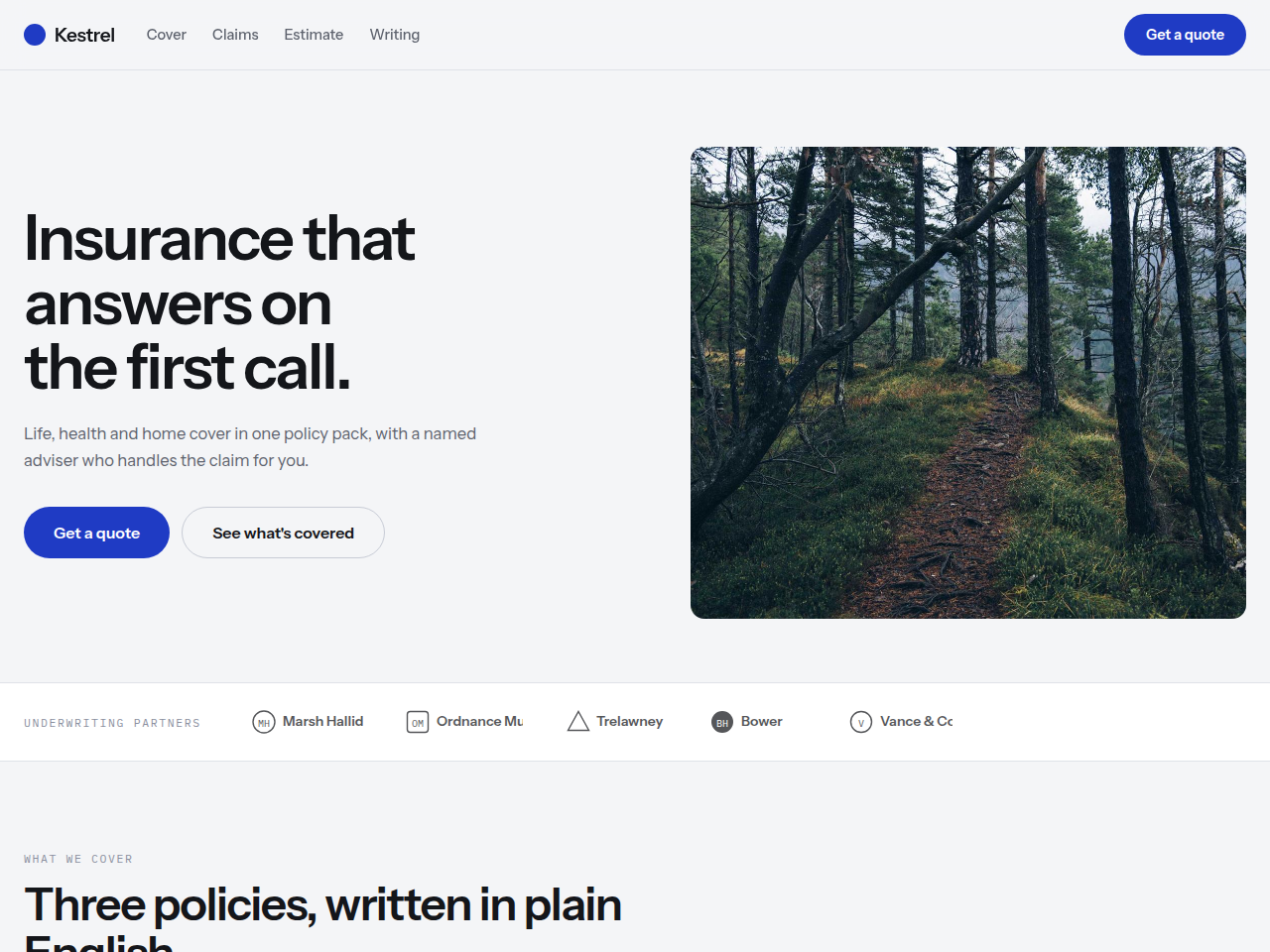 Screenshot of the Kestrel template homepage